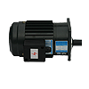 Small AC Gear Motor